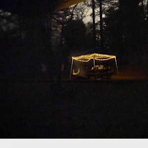 Night view from the hammock