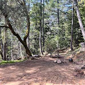Campsite #5 (March 2021)