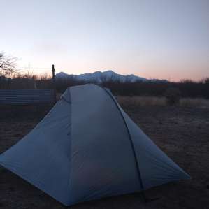 Mesquite forest tent sites