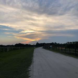 Make sure to drive slowly coming in! The long dirt road is flanked with animals and a nice entrance to the farm.