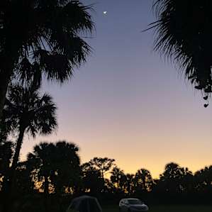 Super beautiful Florida country