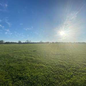 View of the large property in the morning