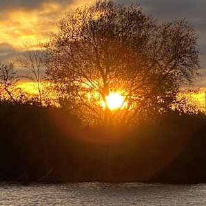🌅