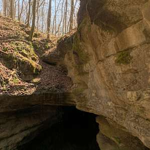 Mammoth Cave Campground