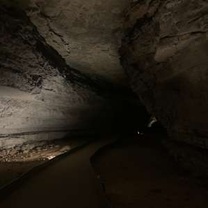 Mammoth Cave Campground