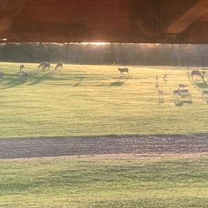 Valkyrie Ranch - The Love Shack!