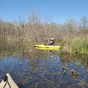 National forest on Lake Conroe