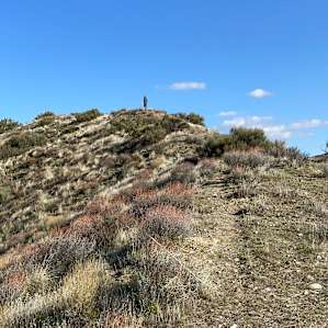 Crazy Diamond: A High Desert Camp