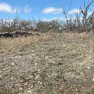 Raw land