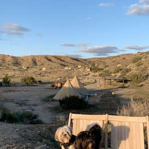 Crazy Diamond: A High Desert Camp