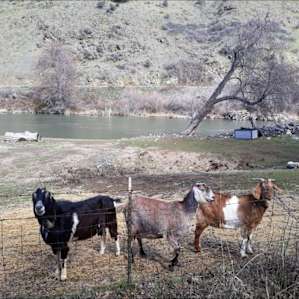 Wilde River Camper Trailer Rental