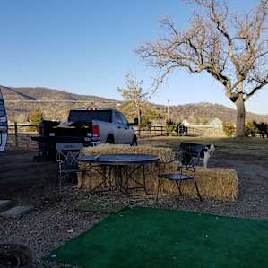Fire pit and table for campers use