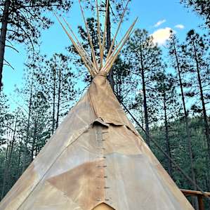 The Sprouted Grain Mountain Tipi