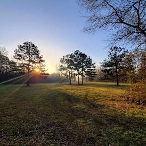 Beautiful sunrise