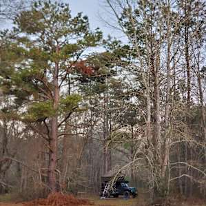 View at the campspot