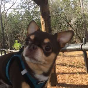 Big Creek RV Park Site 10