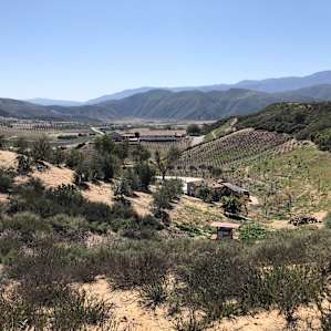 There’s a cave winery
below us.