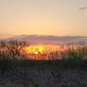 Rustic Ranch with lots of wildlife