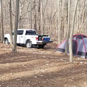 Camp Fancy Pants