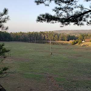 Morning view from the main fire pit