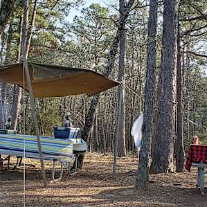 Multiple picnic tables that we used for food prep and eating