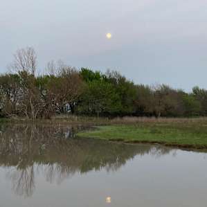Beautiful sun/moon rise/sets
March 2021
