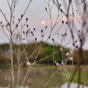 Almost full paschal moon March 2021
