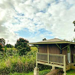 Deluxe Glamping Hammock Cabana