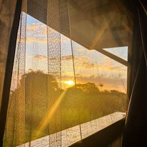 Sunrise from my hammock