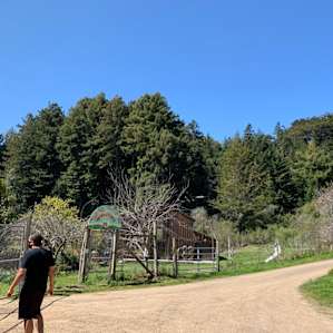 Entry and common area in Oz Farm