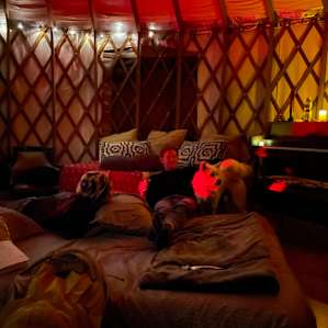 So cozy inside, and loved the piano!