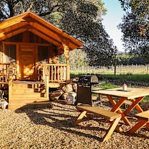 Redwood Cabin nestled in the oaks