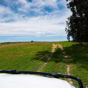 Near Long Paddock