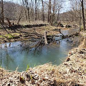 Creek near the property