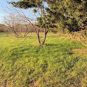 L7 Cattle Ranch Plus