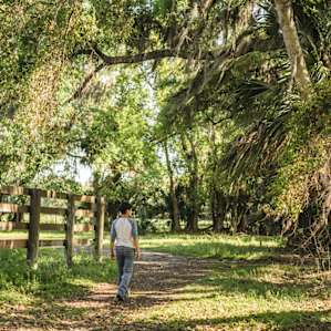 The main grounds are shaded by gigantic mature trees