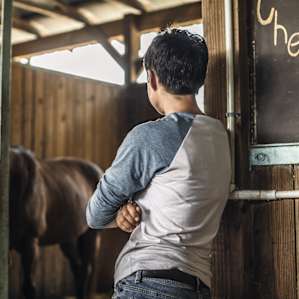 We got to watch a young student groom her lesson horse and have a lesson by one of the boarders