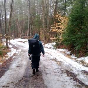 surround yourself with nature