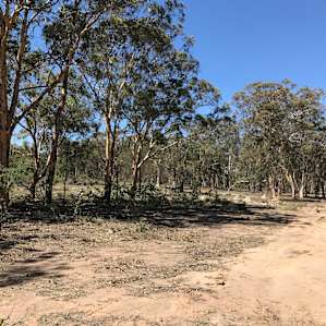 Wandoo Woodland Bush Camp
