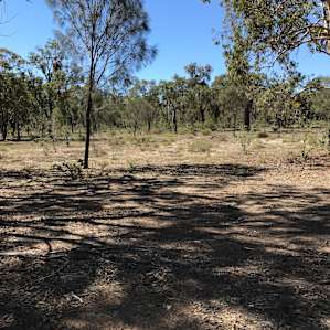 Wandoo Woodland Bush Camp