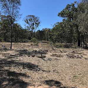 Wandoo Woodland Bush Camp
