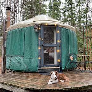 Dog-friendly. YAY!