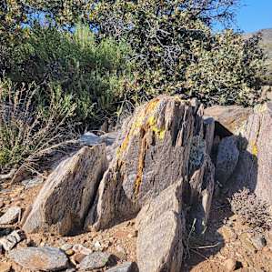 Campsites off Route 66 at SMD Ranch
