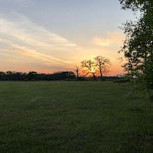 Briers Ranch Primitive Camping