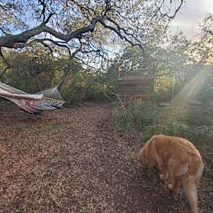 Hammock was great!