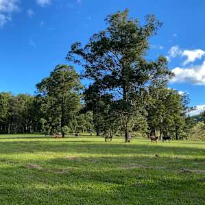 Mistan Valley Farm - The Creek