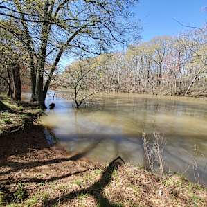 Lower Ocoee Riverside Campsite