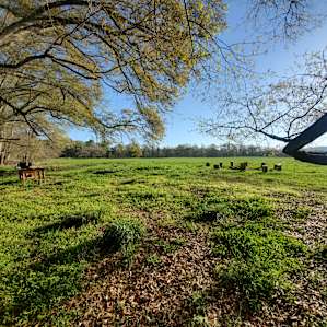 Lower Ocoee Riverside Campsite