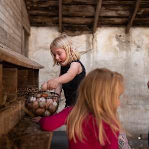 So fun to help them harvest the eggs, and each kid got to keep one!
