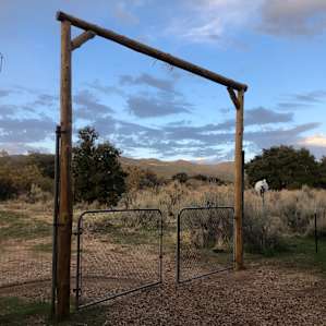 Camp Chester Magic Forest Retreat